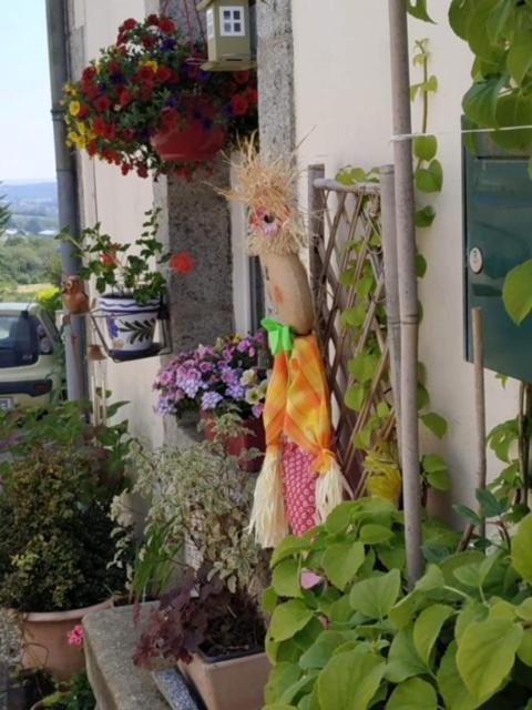 La Maison Des Fleurs Scrignac Dış mekan fotoğraf